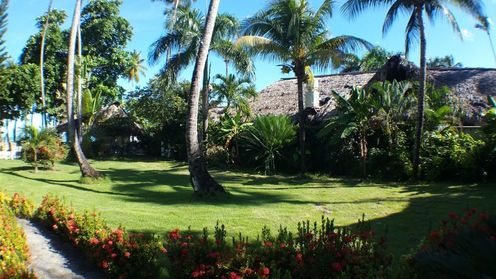 Villa Chiara Las Terrenas Exterior photo
